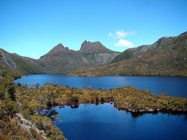 Cradle Mountain Wildlife Spotting After Dark - Key Points