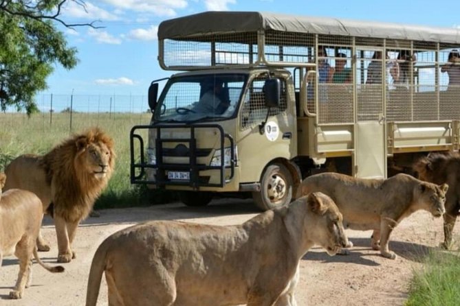 Cradle of Human Kind & Lion & Rhino Park Tour Full Day Tour Private - Pricing and Booking