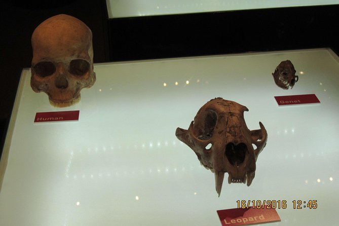 Cradle of Human Kind Tour and Lesedi Cultural Village Day Tour - Exploring Cradle of Humankind