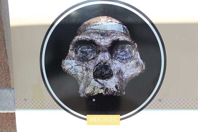 Cradle of Human Kind Tour - Maropeng and Wondercave Tour - Tour Duration and Inclusions