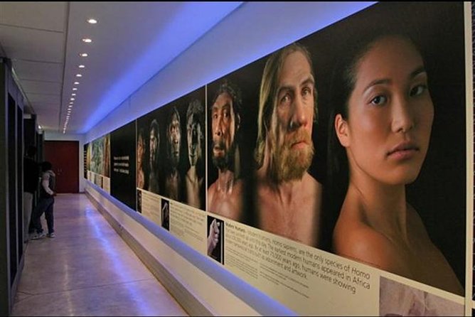 Cradle of Humankind and Lion and Safari Park Tour From Johannesburg or Pretoria - Cradle of Humankind