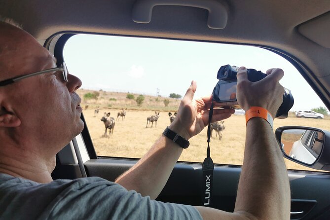 Cradle of Humankind, Caves or Maropeng, Rhino and Lion Park - Tour Reviews and Ratings