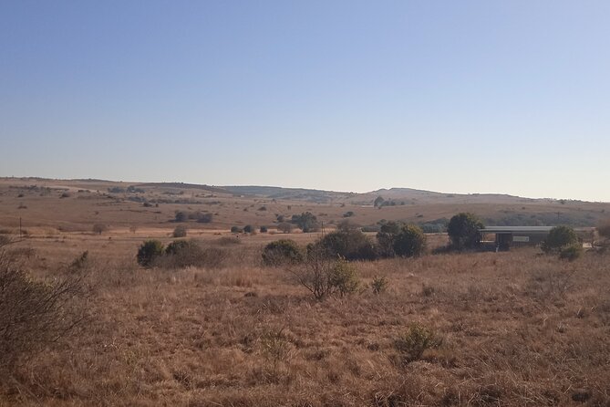 Cradle of Humankind Half Day Tour - Taung Child Significance