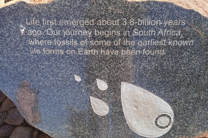 Cradle of Humankind Half Day Tour - Tour Reviews and Ratings