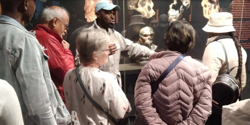 Cradle of Humankind Tour Departing Form Johannesburg - Experience Highlights
