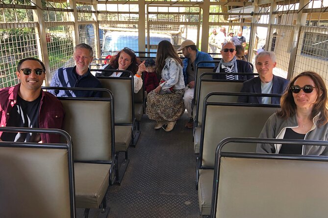 Cradle of Humankind Tour With Lion Safari From Johannesburg - Shopping at a Local Market