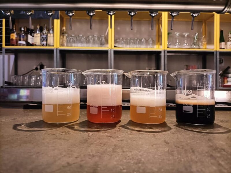 Craft Beer Tasting and Tapas in Valencia - Key Points