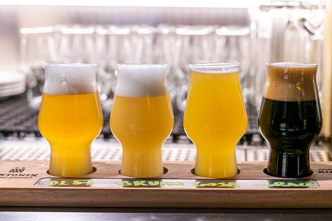 Craft Brewery Tour and Beer Tasting, Tour the Brew, Tekotnik - Brewery Visit