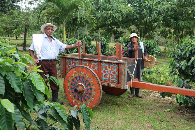 Craft Specialty Coffee and Chocolate Tour at North Fields, La Fortuna Costa Rica - Tour Details