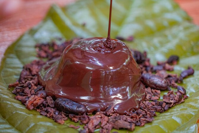 Craft Specialty Coffee and Chocolate Tour at North Fields, La Fortuna Costa Rica - Positive Traveler Feedback