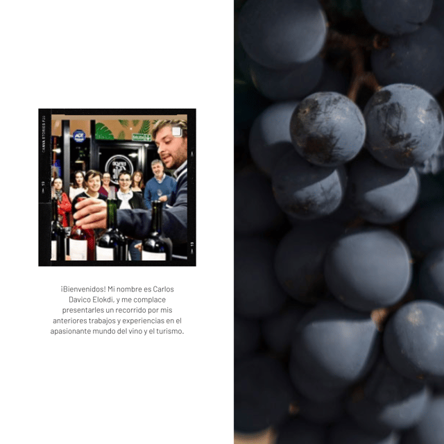 Crafting Unforgettable Experiences: Bilingual Sommelier - Key Points