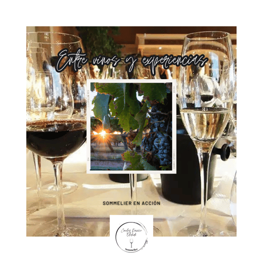 Crafting Unforgettable Experiences: Bilingual Sommelier - Personalized Itinerary and Experiences