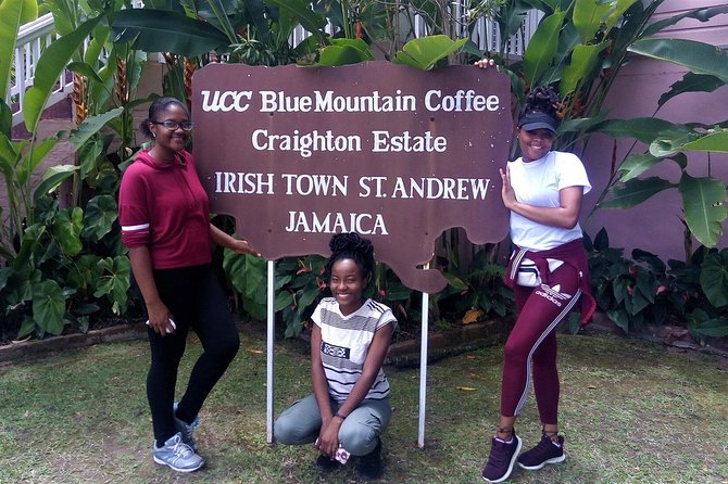 Craighton Blue Mountain Coffee Tasting & Farm Tour From Port Royal Cruise Port - Accessibility and Restrictions
