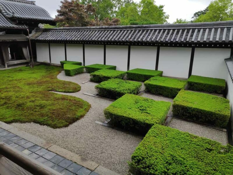 Craig's Kyoto Private Luxury Alphard Tour / The Early Riser - The Sum Up