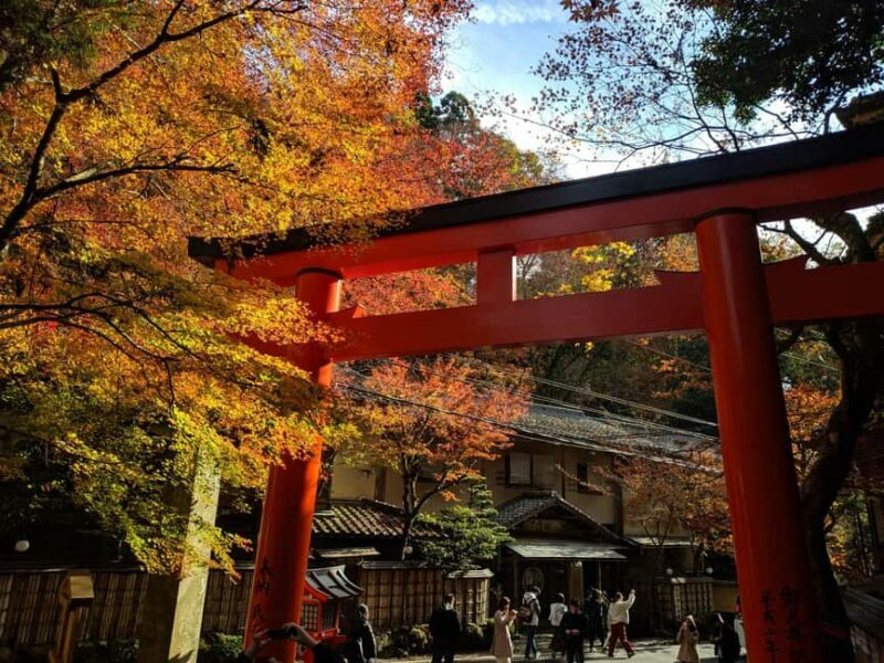 Craig's Kyoto Private Luxury Alphard Tour / The Early Riser - FAQs