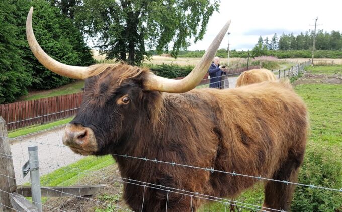 Craigs Luxury Speyside Private Whisky Tour - Exploring Speyside Whisky Country