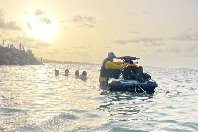 Crash Boat Beach With Snorkeling and Gozalandia Waterfalls - Booking and Pricing