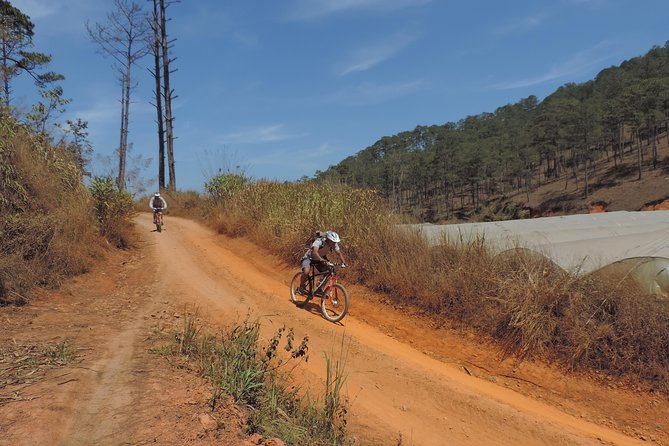 Crazy 8 Mountain Bike Tour From Dalat - Terrain and Difficulty