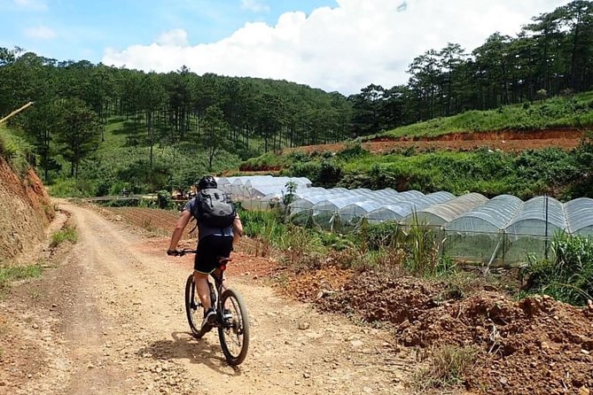 Crazy 8 Mountain Bike Tour From Dalat - Customer Reviews