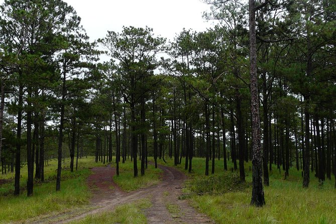 Crazy 8 Mountain Bike Tour From Dalat - Booking and Information