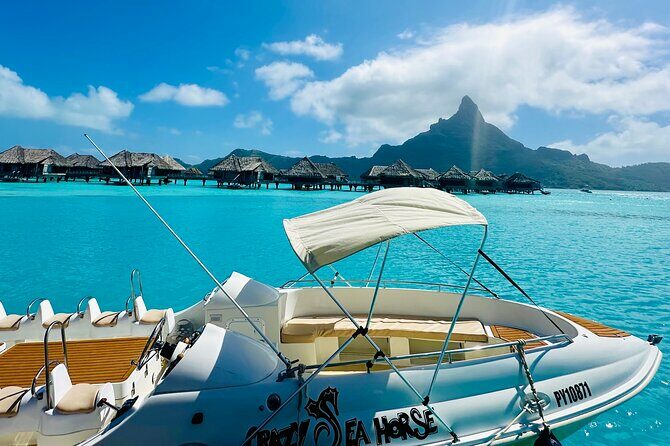 Crazy sea horse Bora Bora Comfortable boat, snorkeling and lunch - The Lagoon: A Marine Wonderland