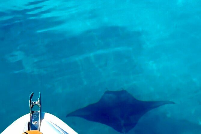 Crazy sea horse Bora Bora Comfortable boat, snorkeling and lunch - Final Thoughts on the Experience
