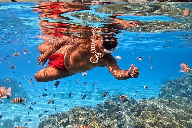 Crazyseahorseborabora Comfortable boat , sensational snorkeling . - An In-Depth Look at the Bora Bora Snorkeling Experience