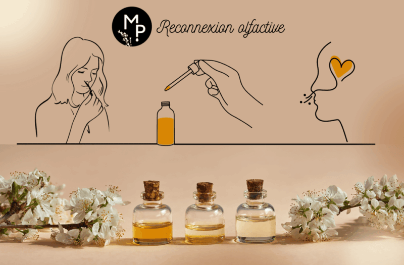Create Your Organic Perfume Workshop - Location and Facilities