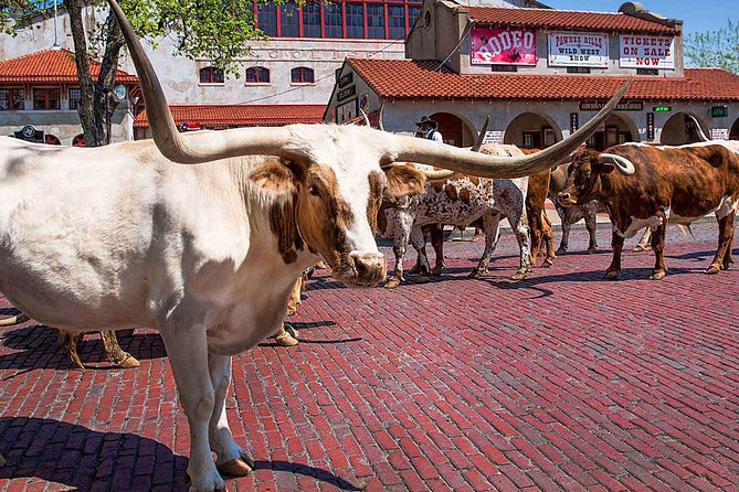 Create Your Own Dallas and Fort Worth Combination Tour - Tour Options Available