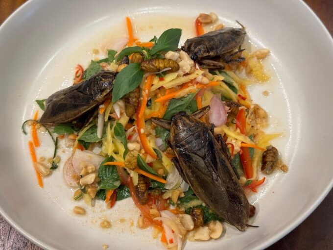 Creative Insect-Based Dinner - Customizable Dinner Options
