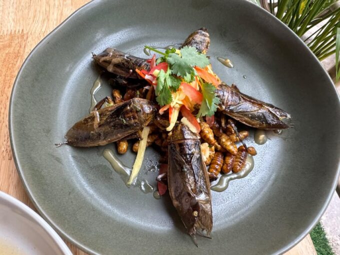 Creative Insect-Based Dinner - Experience Highlights and Insights