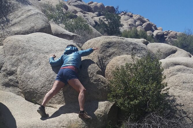 Creative Soul Scavenger Hunt (Hidden Valley, Joshua Tree) Remote Host - Suitable for Families, Friends, and Teams