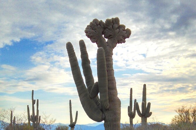 Creative Soul Scavenger Hunt (Lost Dog Trailhead, Scottsdale) - Preparation Tips for Participants