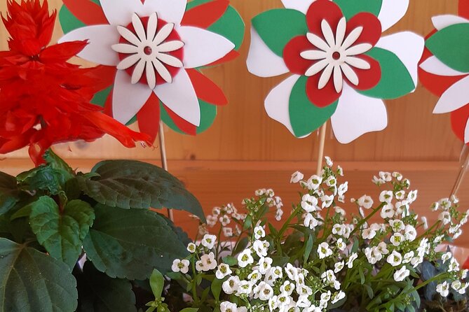 Creative Workshop - Vegetable Garden in Boxes - Key Points