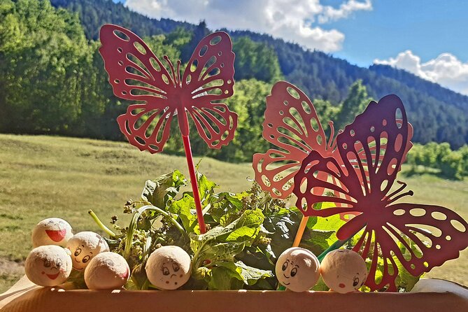 Creative Workshop - Vegetable Garden in Boxes - Booking and Confirmation