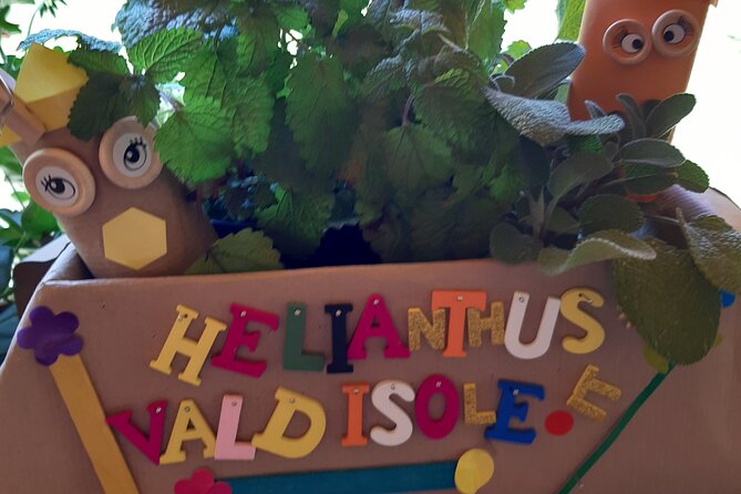 Creative Workshop - Vegetable Garden in Boxes - Personalizing Your Garden