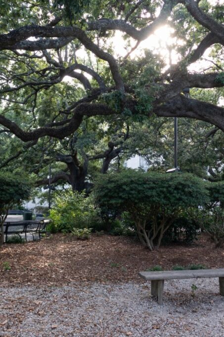 Crescent City Chronicles: The Heart of New Orleans - Eclectic Energy of Bourbon Street