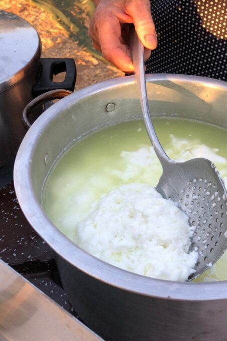 Cretan Farm Tour With Cheese-Making & Food Picnic - Traditional Cretan Picnic