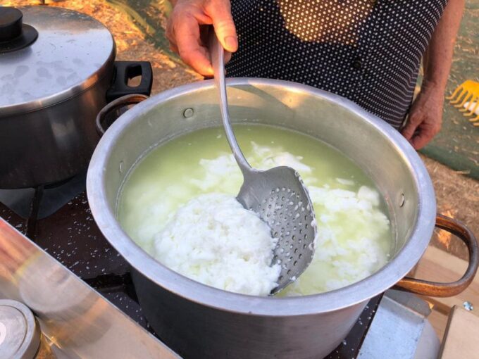 Cretan Farm Tour With Cheese-Making & Food Picnic - Frequently Asked Questions