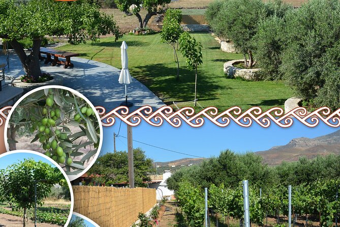 Cretan Traditional Cooking Lessons - Key Points