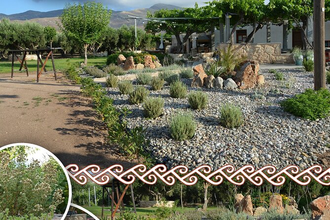 Cretan Traditional Cooking Lessons - Delighted Travelers