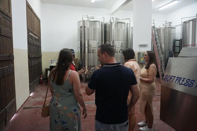 Cretan Wines & Olive Oil Tour - the Treasures of Crete - Guided Winery Visit and Tasting