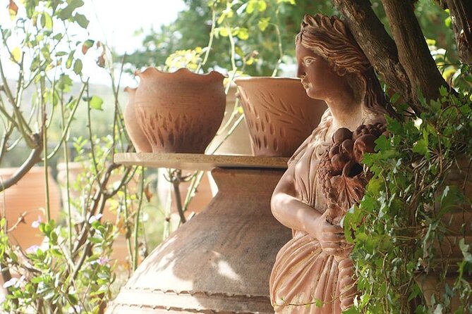 Cretan Wines & Olive Oil Tour - the Treasures of Crete - Brunch and Food Pairing