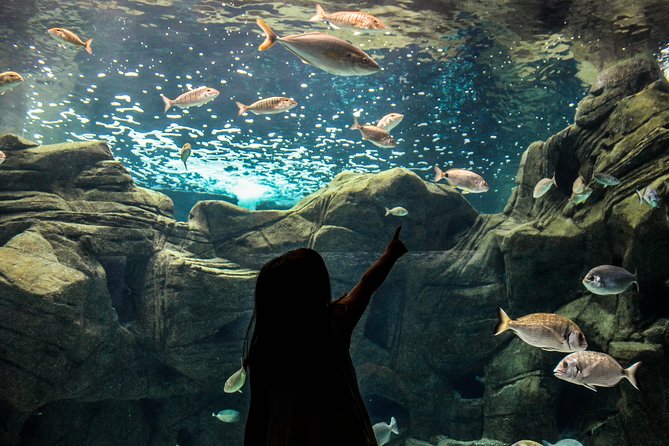 CRETAquarium Entrance Ticket in Crete - Operating Hours