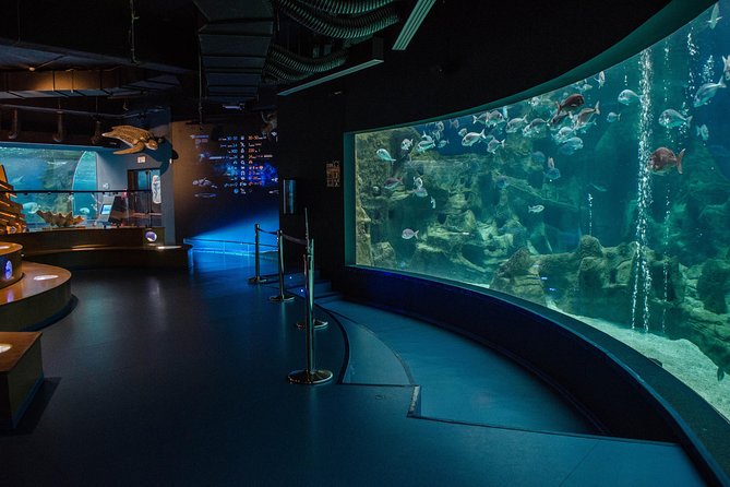 CRETAquarium Entrance Ticket in Crete - Audio Guide Optional