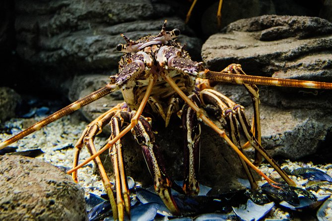 CRETAquarium Entrance Ticket in Crete - Cancellation Policy