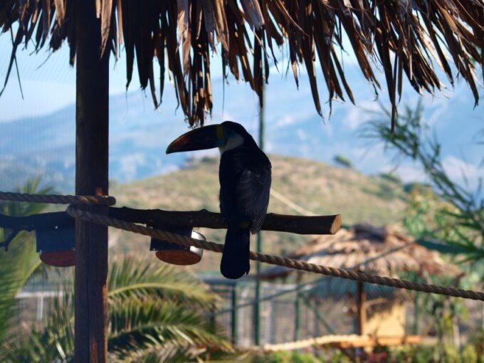 Crete: Agios Nikolaos, Kritsa and Amazonas Park Day Trip - Olive Oil Factory Tour
