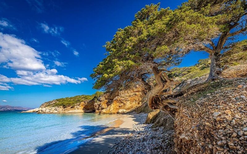 Crete and Heraklion Areas: Direct Day Trip Voulisma Beach - Key Points