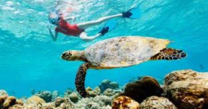 Crete: Coastline Snorkeling Cruise From Hersonissos Port - Activity Duration
