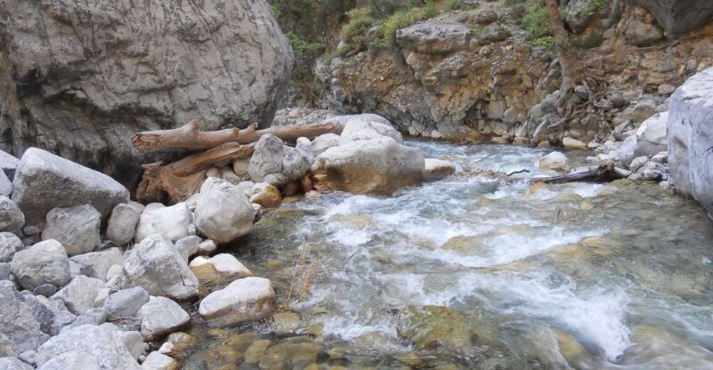 Crete: Hiking Tour in Samaria Gorge - Experience Highlights